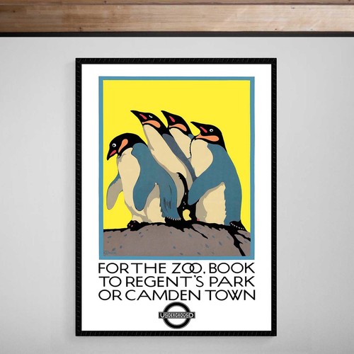 London zoo penguin - london,