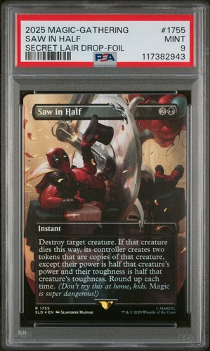 2025 mtg secret lair - 2025,