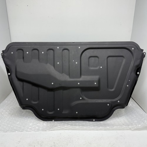 Under engine guard - engine, rear