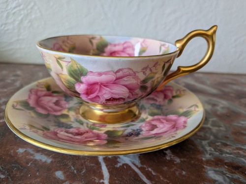 Rare aynsley cabbage roses - rare,