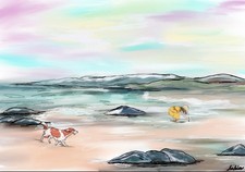  ‘Summer Coastal