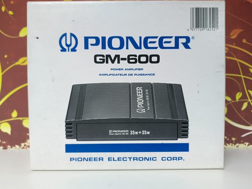Pioneer 600 high - gm-600, car