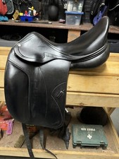 17 1/2” MW +1.5 Amerigo