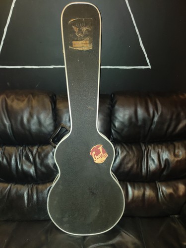 Hard guitar case and antoria - hard,