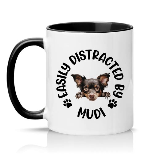 Easily distracted mudi - easily,