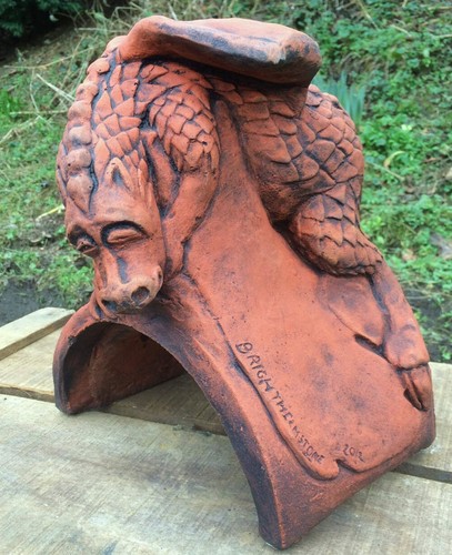 Baby dragon roof - baby,