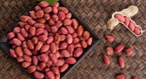 Red skin peanuts - skin,
