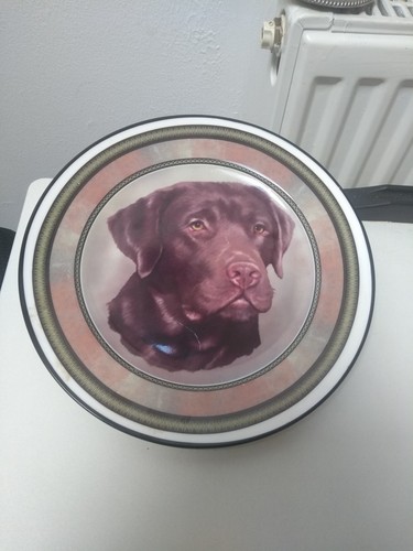 Labrador dogs decorative - labrador,