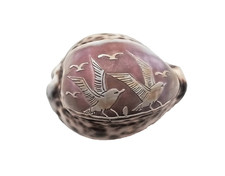 Victorian Hand Carved Cowrie