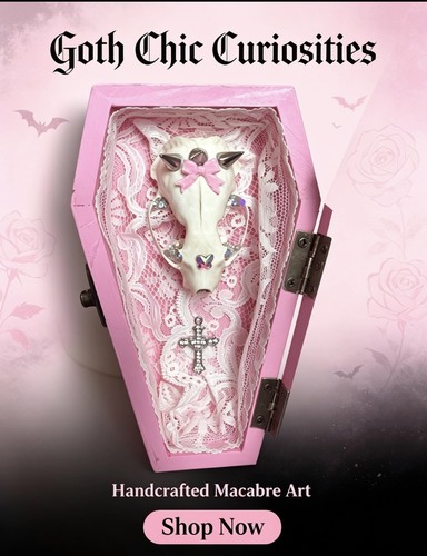 Mink skull taxidermy - skull,