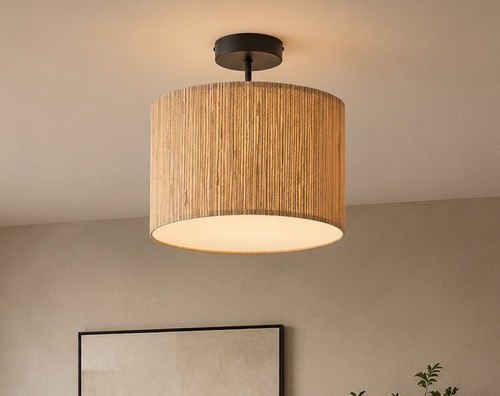 Seagrass ceiling light semi - ceiling,