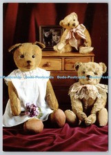 D325929 The Wonderful World of Teddy Bears. Sue Pearson and Geoff Dann. De Agost