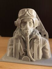 RC 1/6 scale RAF pilot with