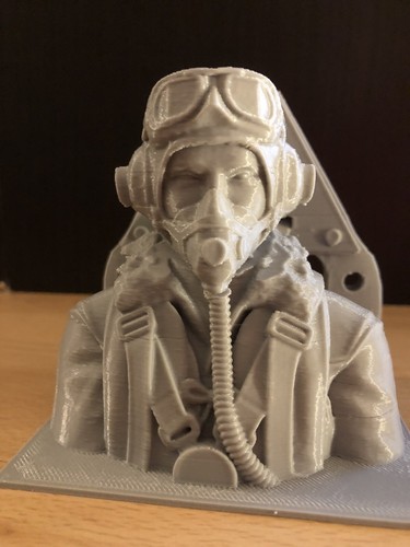 Scale raf pilot with - raf,