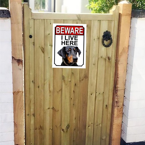 Beware live here doberman - i,