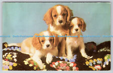 R736510 King Charles Spaniel Puppies J Salmon Sevenoaks