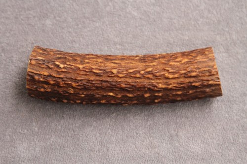 Real red deer antler - real,
