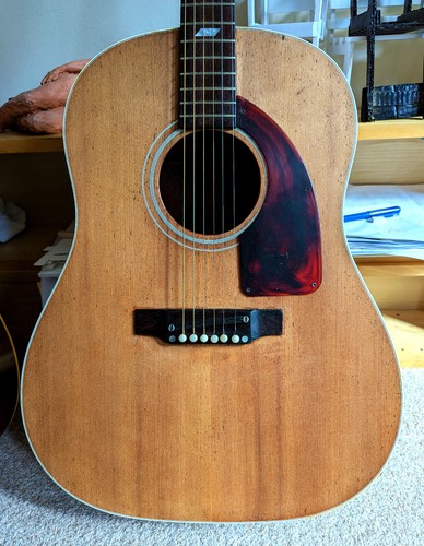 1969 epiphone texan