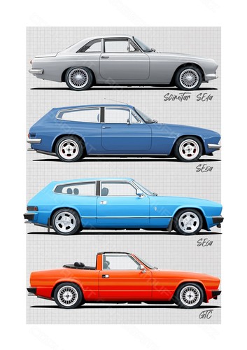 Reliant scimitar print - scimitar,