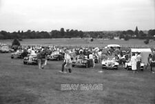 PHOTO  A NICE LINE UP OF