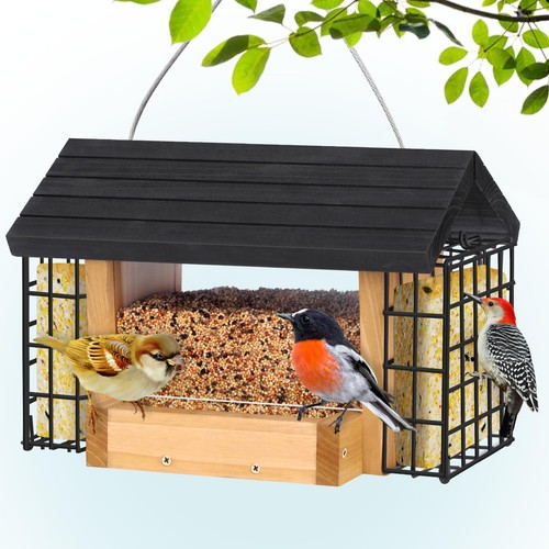 Hopper bird feeder - bird, for