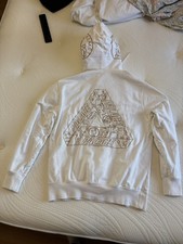 Palace Archaeology Tri Ferg