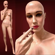 Vintage Realistic Full Life