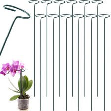 Green Metal Orchid Rose Single