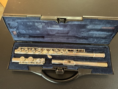 Flute musical instrument - flute,