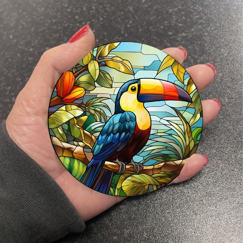 Colourful toucan tropical bird - colourful,