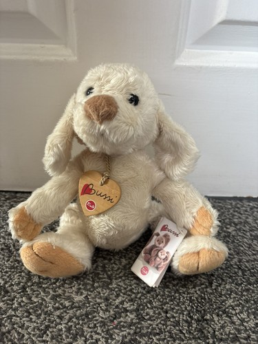 Trudi bussi dog - trudi, puppy