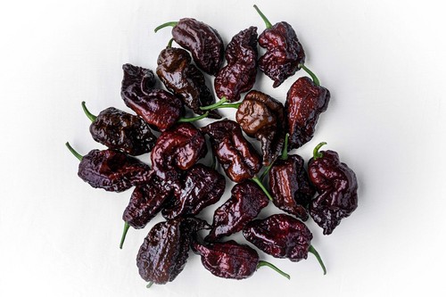 Chocolate carolina reaper - chocolate,