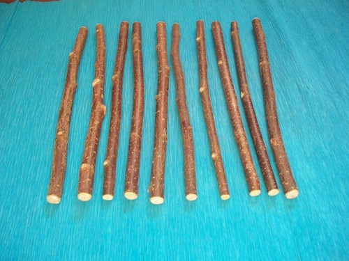 Hazel wood craft - 10, x