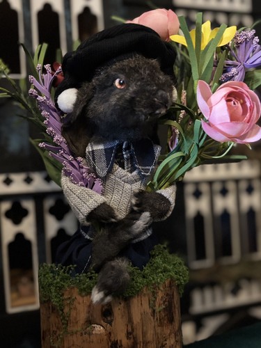 Roadkill baby rabbit - baby, taxidermy