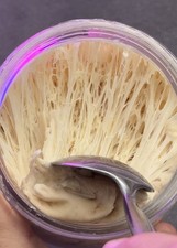 Organic Strong White Sourdough Bread Starter Includes Instruction and 3 recipes