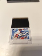 Street Fighter II HuCard PC