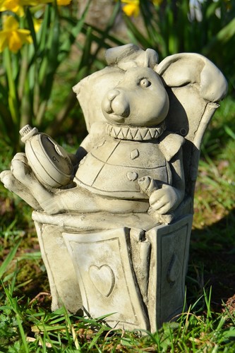 White rabbit alice - white, in
