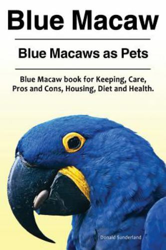 Blue macaw - blue,