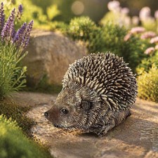 Baby Hedgehog Ornament Statues