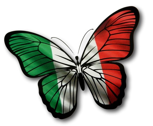 Beautiful butterfly italy - butterfly,