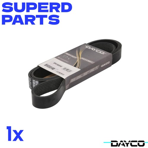 Dayco day8pk1805hd ribbed - day8pk1805hd, v-ribbed