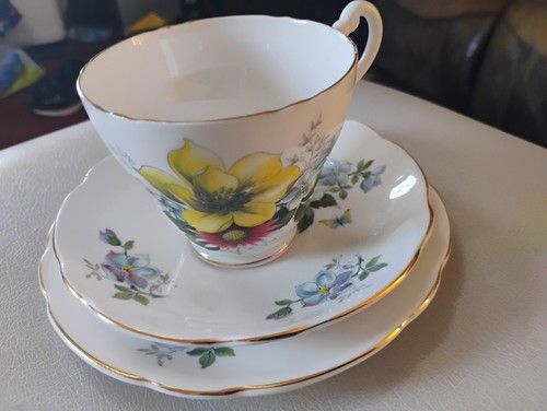 Springfield bone china - springfield,