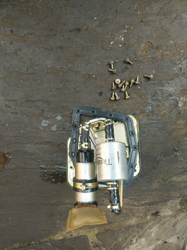 Triumph 955 tiger fuel pump - 955,
