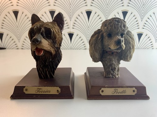 Vintage terrier poodle - &, dog