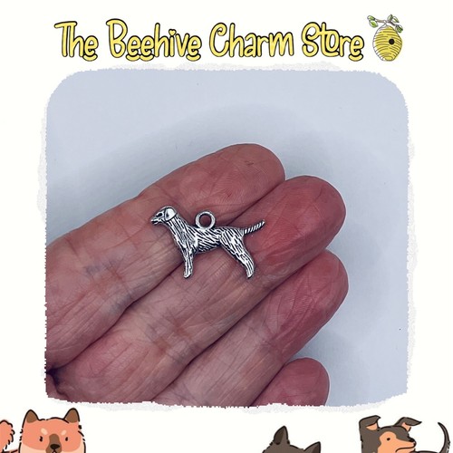 Setter pointer style dog - setter/pointer,
