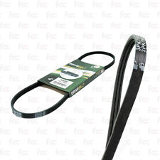 Alternator Drive Belt / Fan