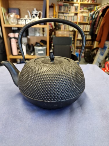 Nambu tekki cast iron teapot - tekki,
