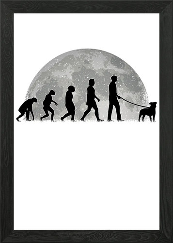 Parson russell terrier framed - terrier,