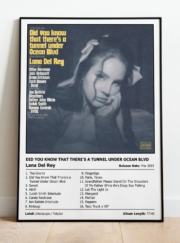 Lana del rey did you - rey, know