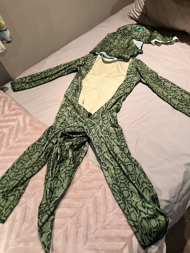 Dinosaur fancy dress costume - dinosaur,